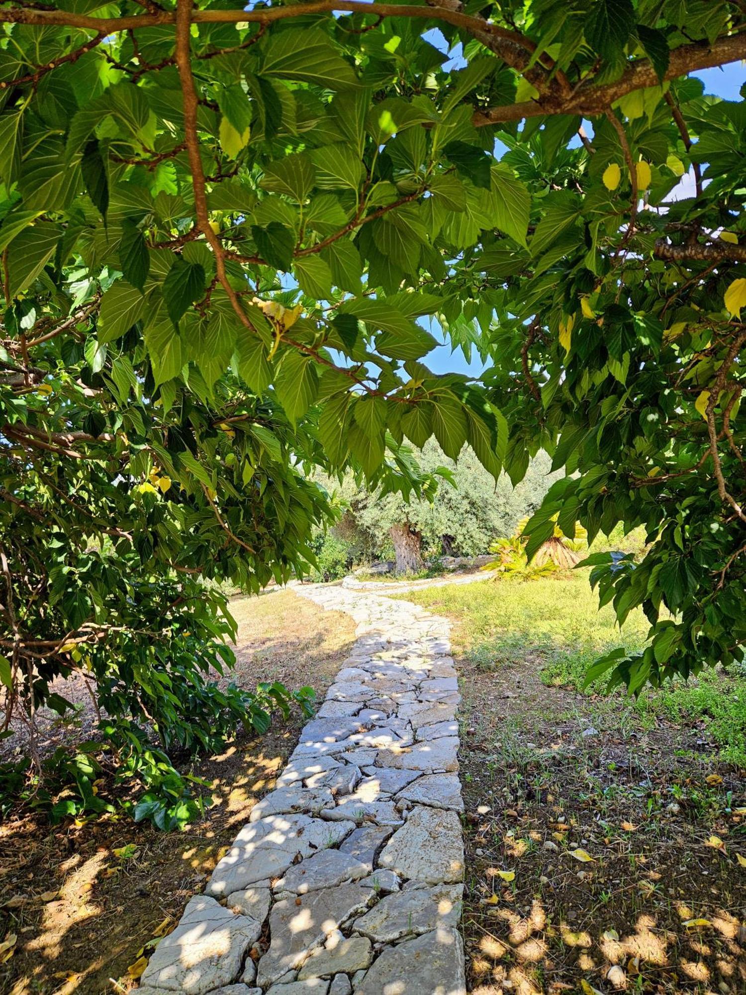 Villa Del Carrubo A Due Passi Dal Mare Di Cefalu Collesano エクステリア 写真