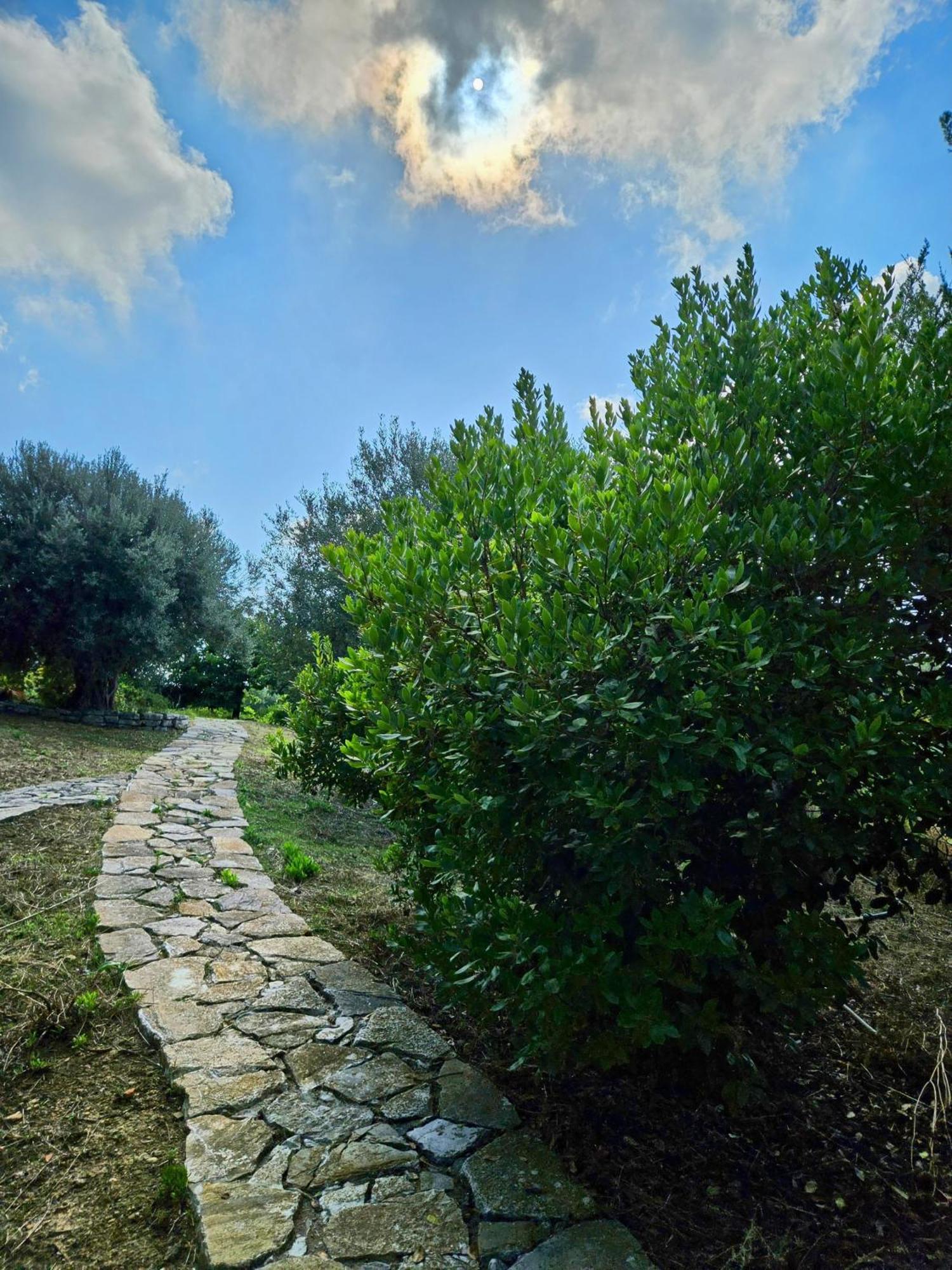 Villa Del Carrubo A Due Passi Dal Mare Di Cefalu Collesano エクステリア 写真